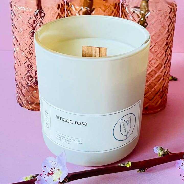 amada rosa for wholesale by olent