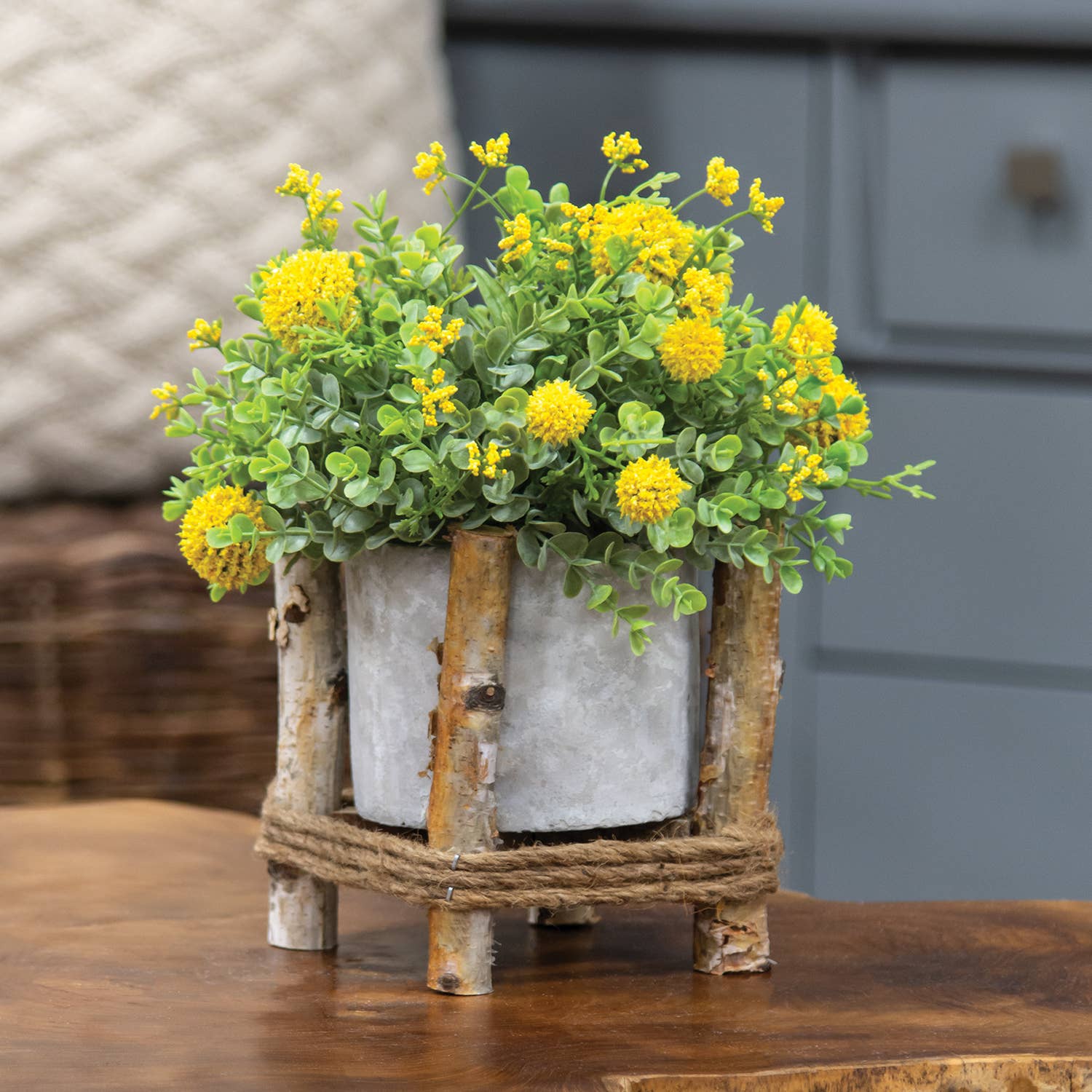 Col House Designs - Vente Pot - Petite jardinière en ciment dans un cadre en bois1