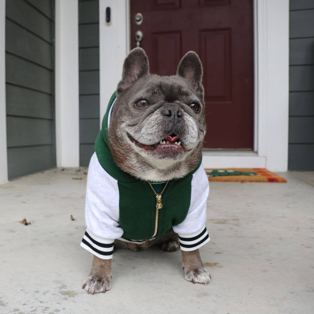 Frenchie - Wholesale Pet Hoodie - Dog - Frenchie Dog Hoodie - Emerald City Varsity1