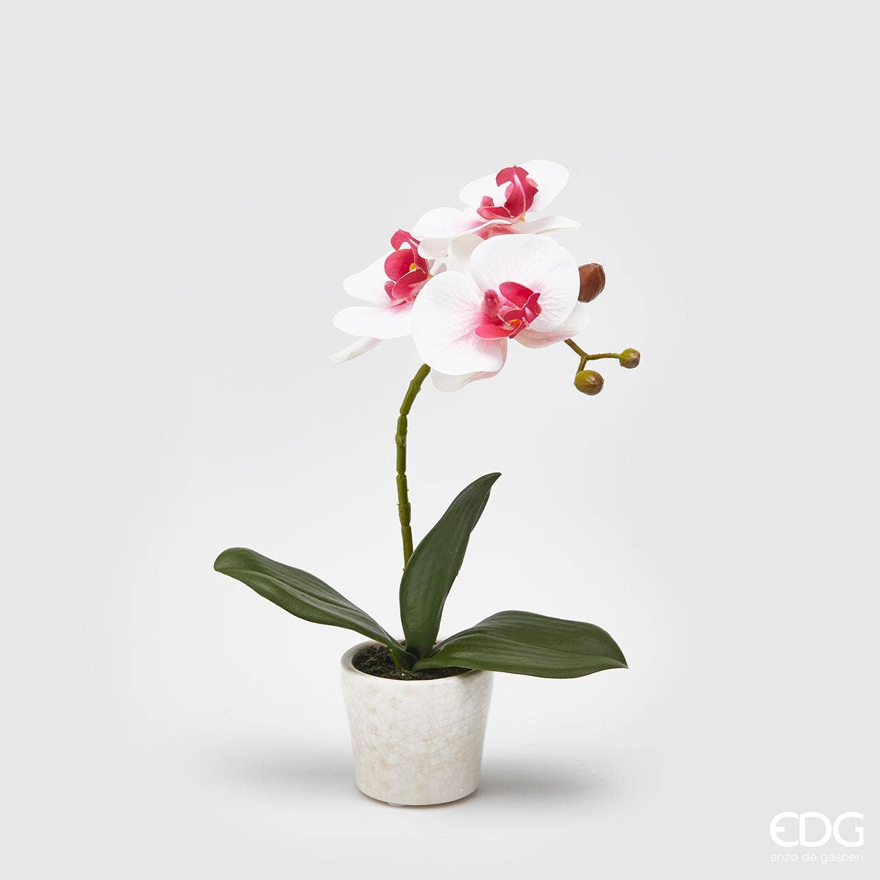 edg - Wholesale Artificial Flowers - PHAL ORCHID.PLANT W/POT0