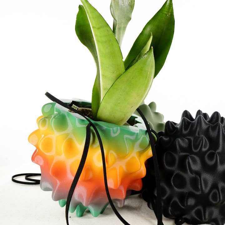 Rosebud Homegoods - Wholesale Hanging Planter - Hanging Planter, Indoor 5 or 8 inch Pots, Maximalist Decor14