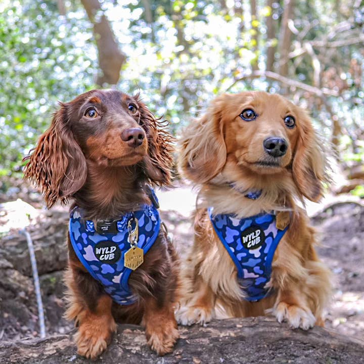 Camo, Let's get Outta Here!: Adjustable Dog Harness for wholesale by WYLD CUB