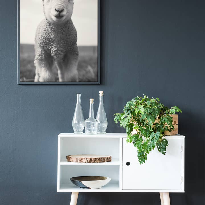 carta bianca Poster con agnello - foto vintage in bianco e nero in vendita all'ingrosso su Faire3