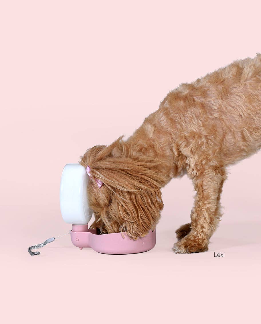 United Pets – Großhandel Haustiertrinkflasche – Hund – Designer-Reiseflasche mit Tropfventil4