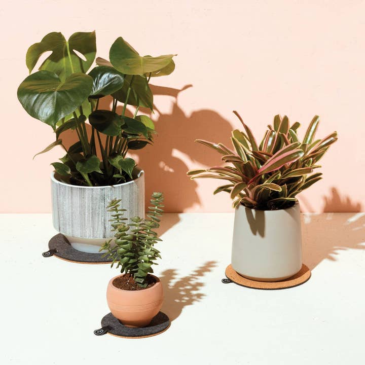 Trivet de plantas - 5” por atacado de Modern Sprout - International