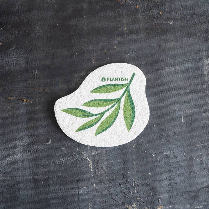 Plantish - Wholesale Cleaning Sponge - Eucalyptus - Pop up Sponge