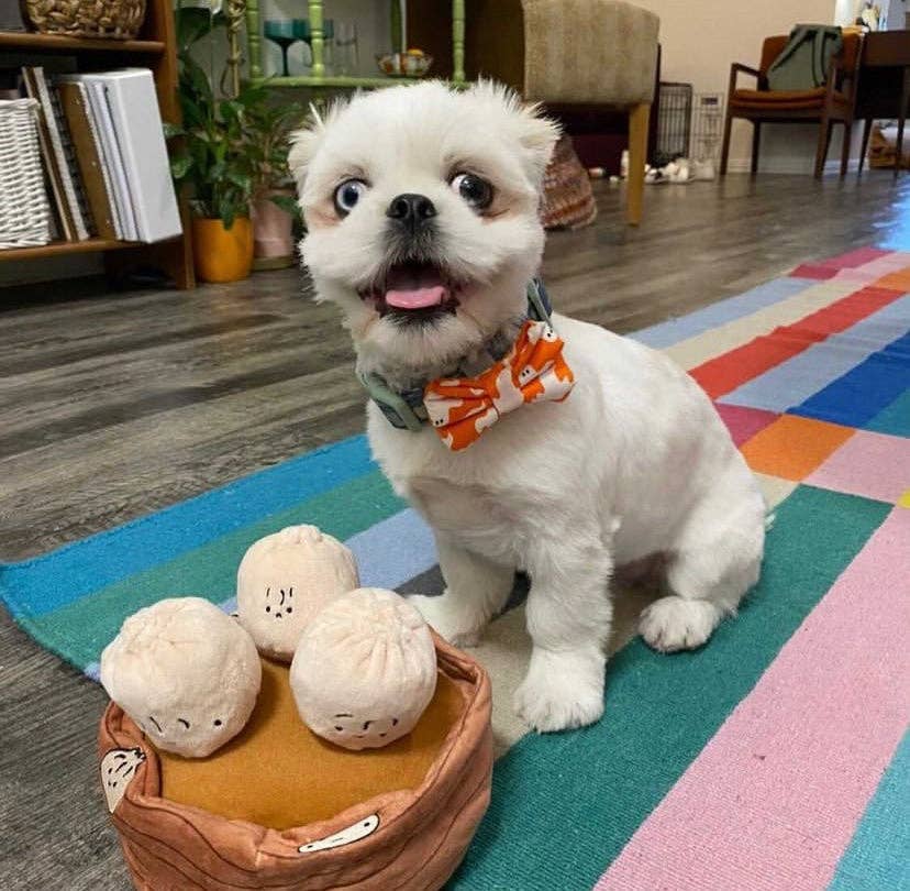 Woof & Co. - Vente Peluche – chien - Dumplings Dim Sum10