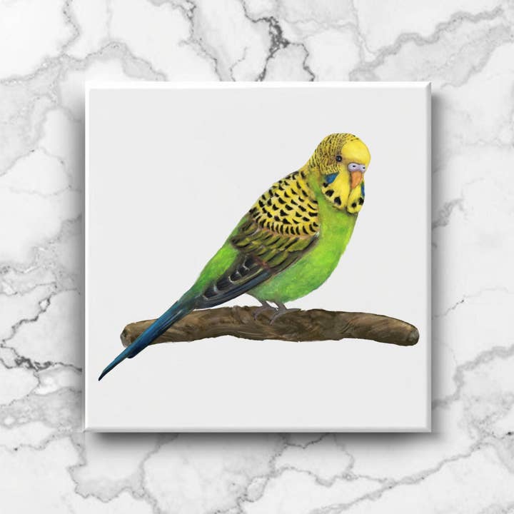 Green Budgie Ceramic Tile for wholesale by MerikaArt