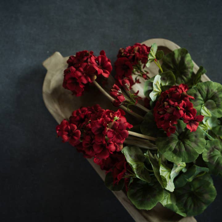 Buisson de géranium rouge de 19,5 pouces pour la vente par Ragon House