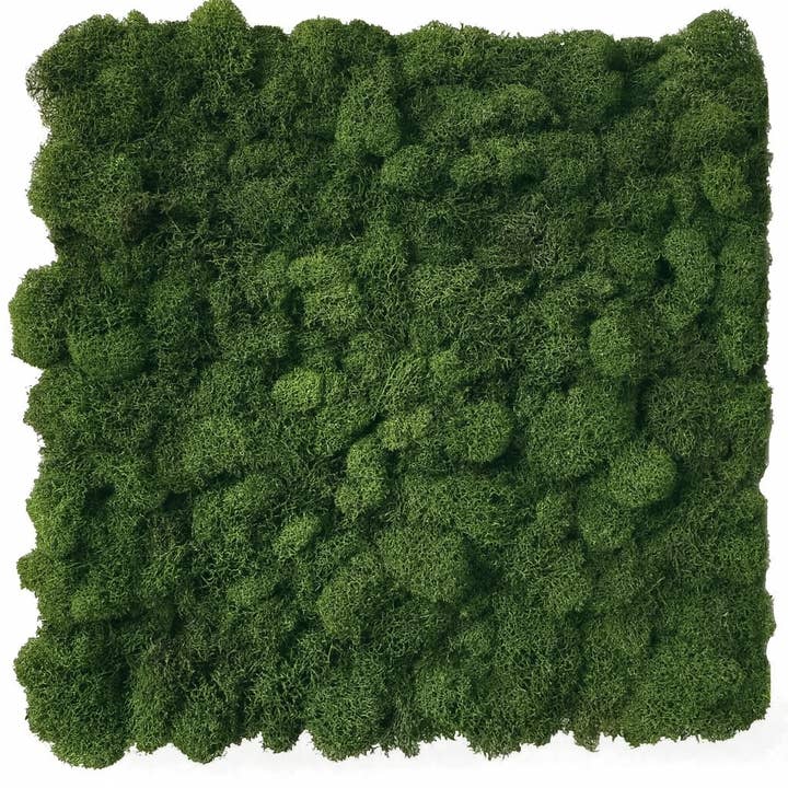 Moss & Stone Gardens - Wholesale Wall Accent - Moss Wall Panel (Dark Green) | 1 Square Foot 2