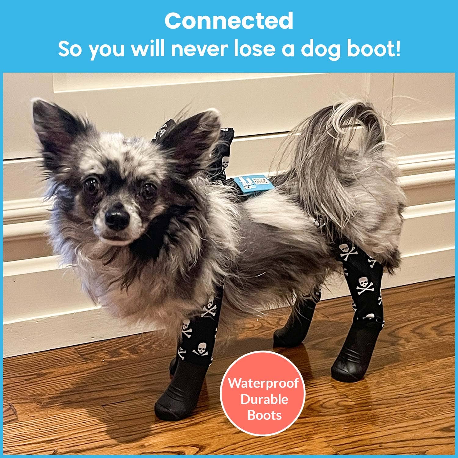 Walkee Paws – Großhandel Pfotenschutz für Haustiere – Deluxe Easy-On Hundestiefel-Leggings8