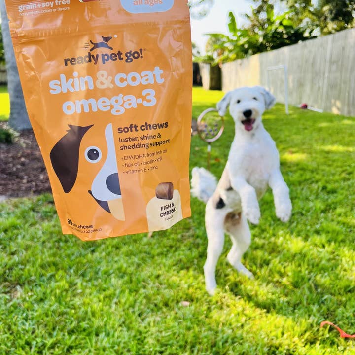 Ready Pet Go - Wholesale Pet Supplement - Dog - Omega 3 Fish Oil Supplement Chews for Dogs - Skin & Coat