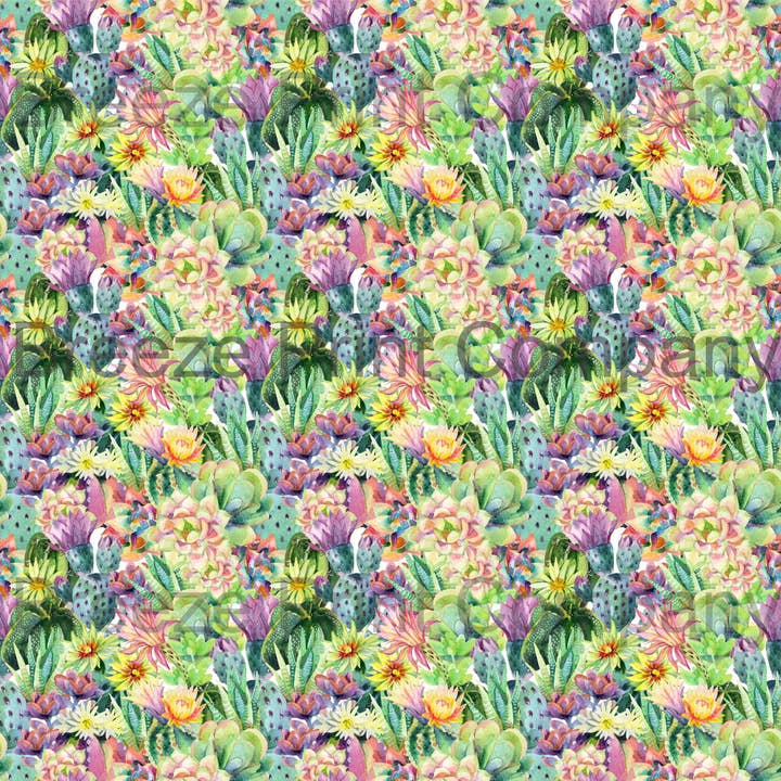 Feuille de motif de sublimation pour cactus et succulentes SWC20 pour la vente par BreezePrintCo