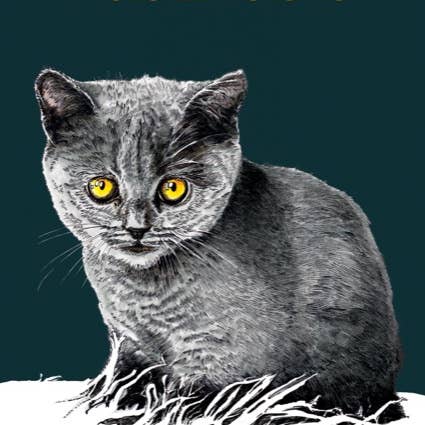 Some Ink Nice - Wholesale Babykaartje - Kitten Nieuwe babykaart * Kattenkaart * Dierenkaarten * Kittenkaart1