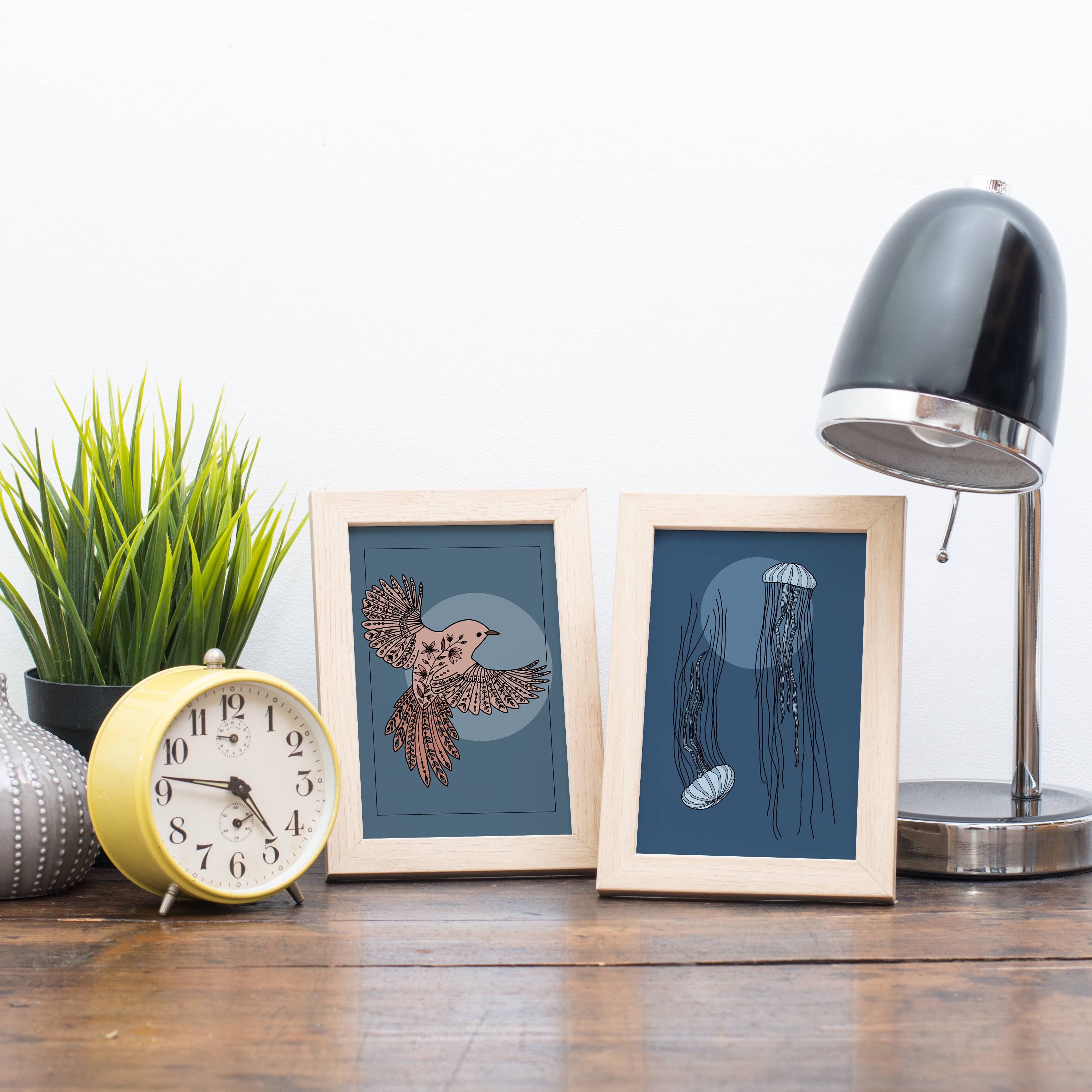 Rotberta - Vendita all'ingrosso Cartoline - Cartolina medusa2