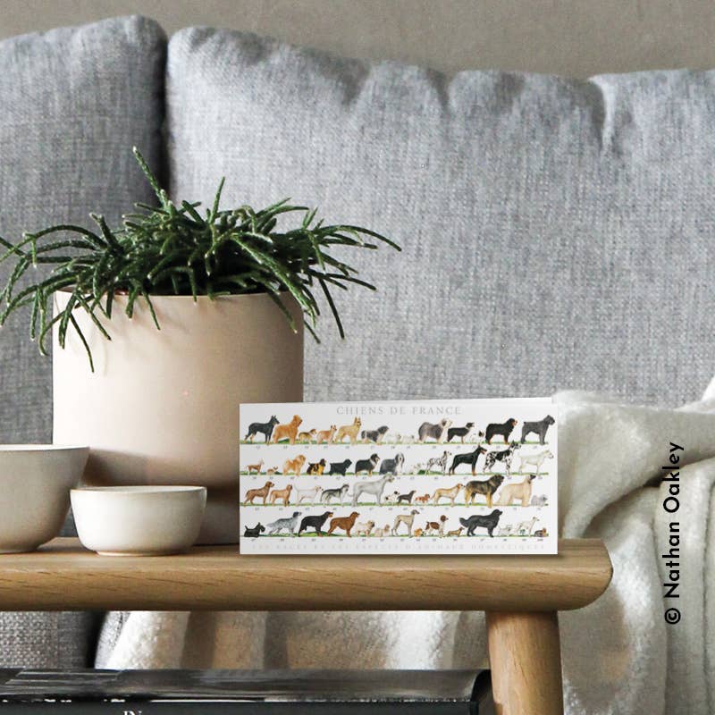 Longue-vue - Venta al por mayor Tarjeta postal - Perros de Francia - Tarjeta doble1