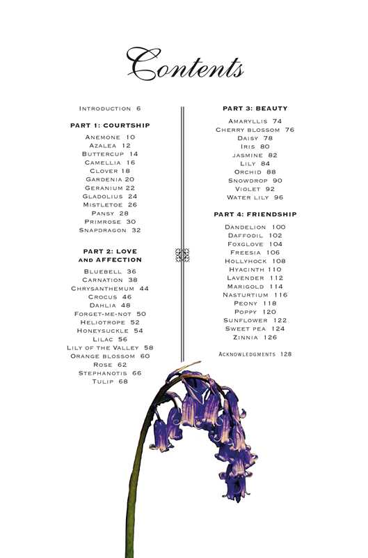 Simon & Schuster - Wholesale Nature & Outdoors - Secret Language of Flowers by Samantha Gray4