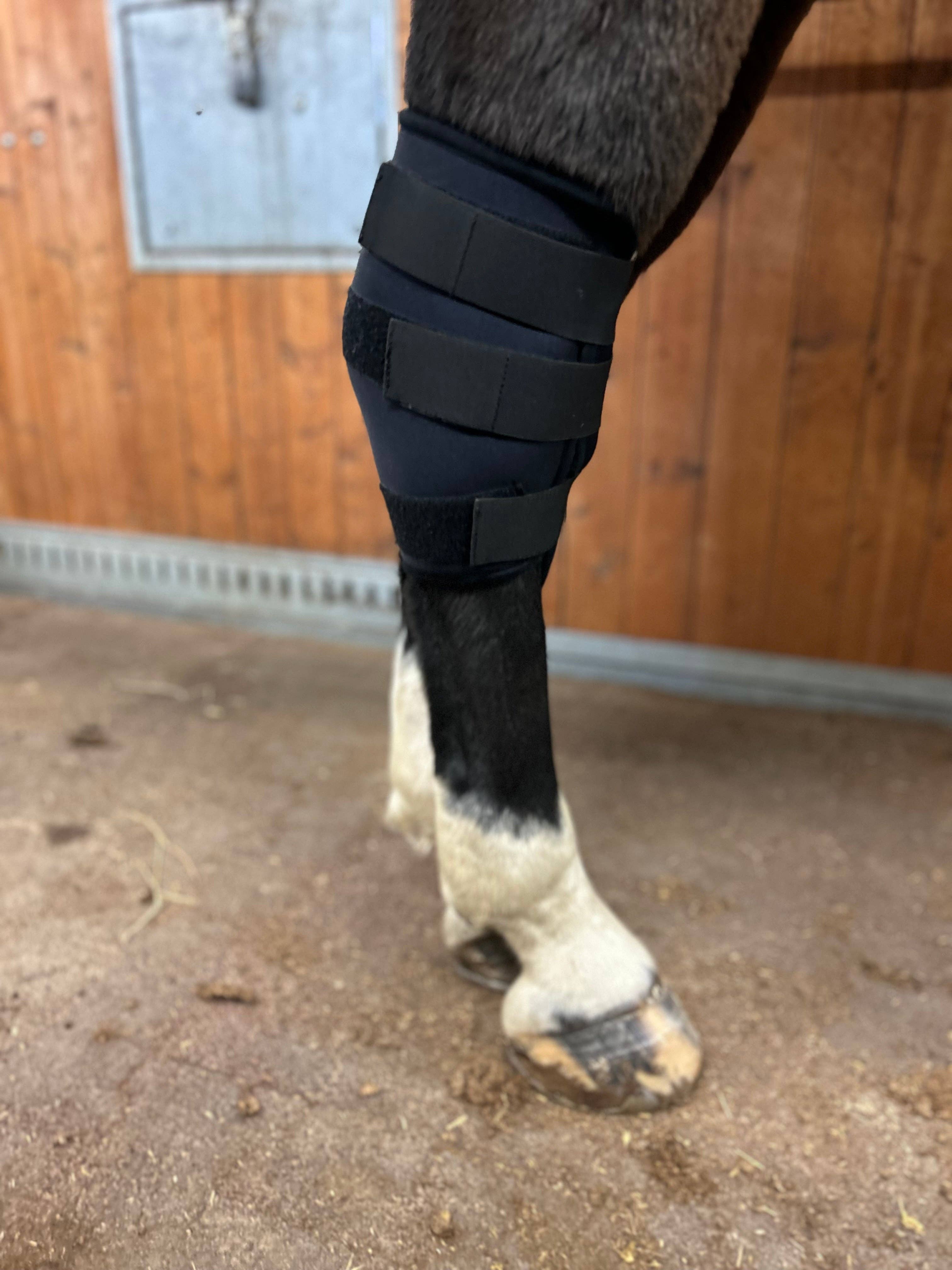 Woolcare - Wholesale Horseback Riding Gear - Wooler Hock Protector1