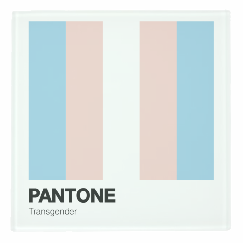 ART WOW - Wholesale Coasters - Coasters 'Transgender Pantone LGBTQIA+ Q1