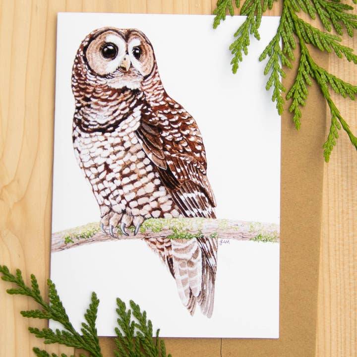 Spotted Owl 5x7 Fine Art Card With 100% Recycled Envelope for wholesale by Laurel Mundy Illustration