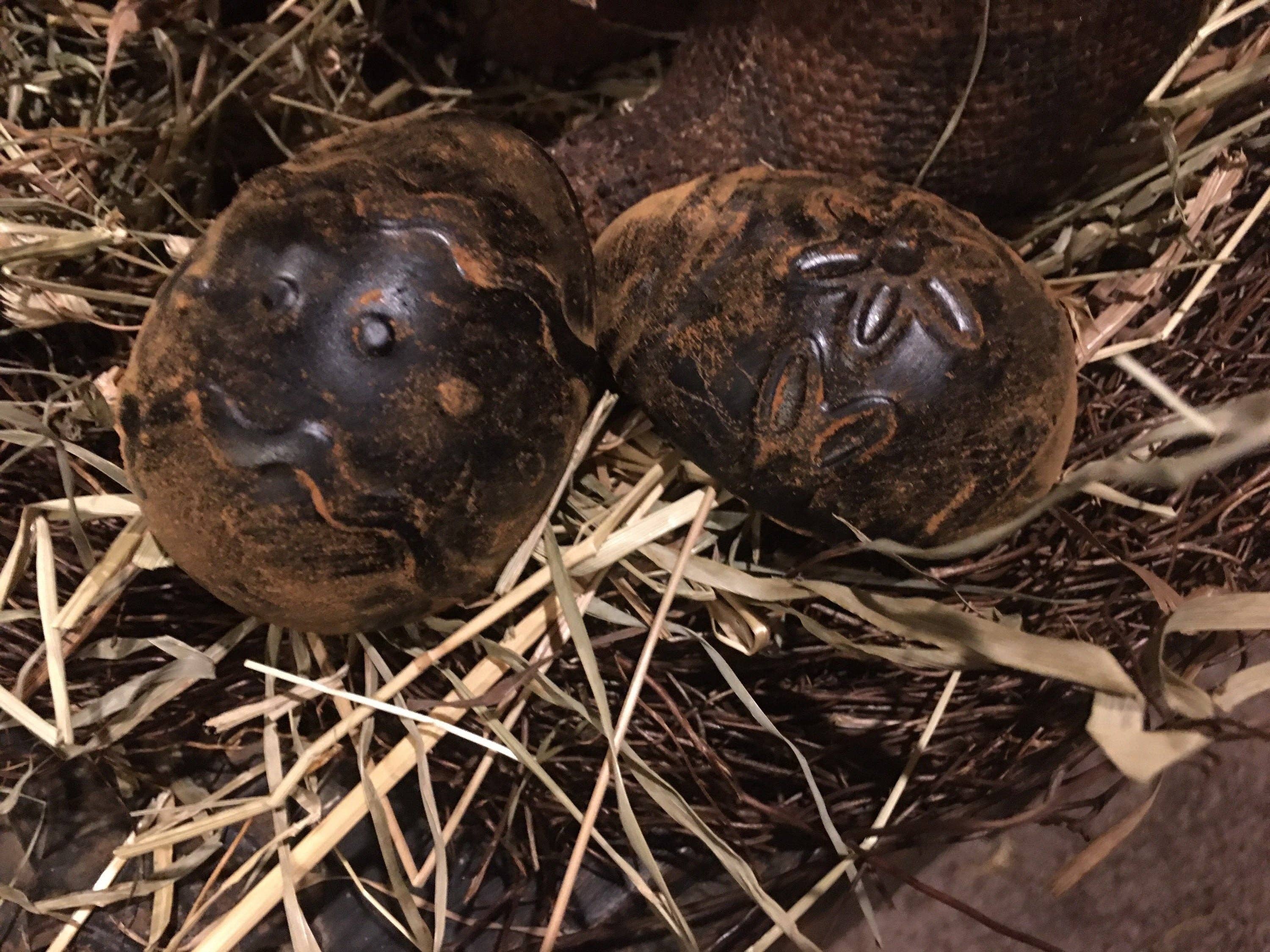 The Cranberry Cornstalk Co. - Vente Décorations de table - Oeuf en cire noircie Prim3