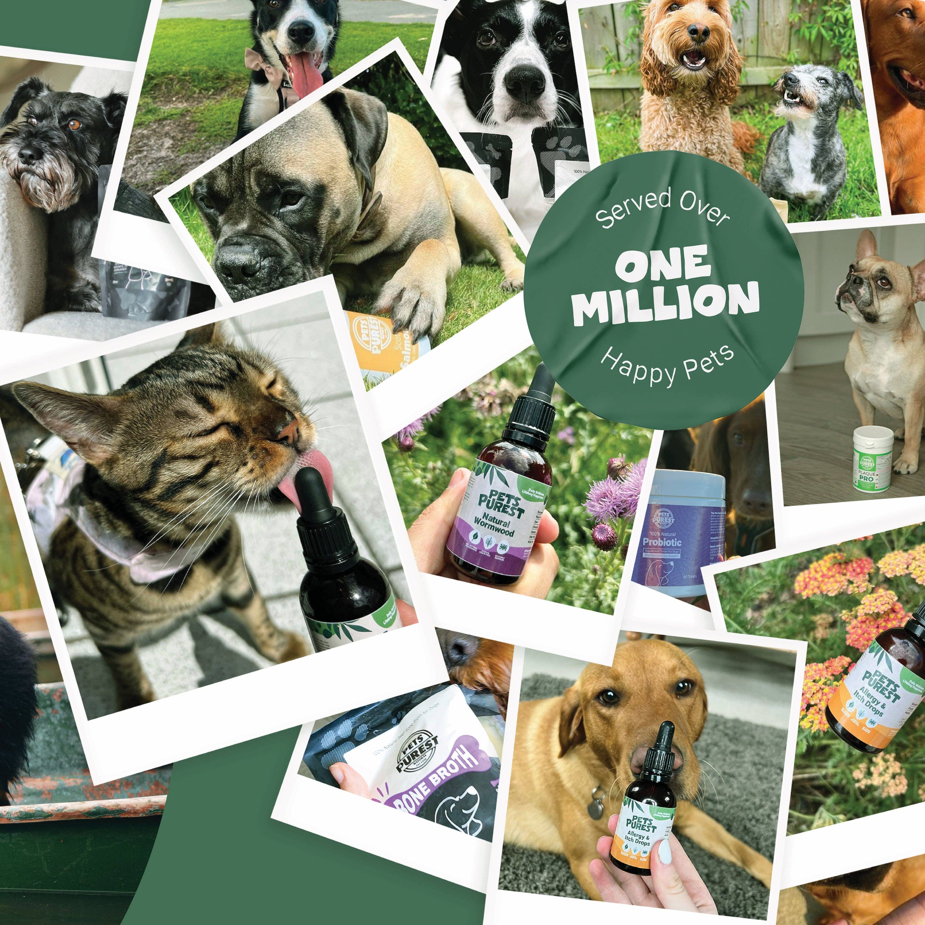 Pets Purest – wholesale Pet treats – Dog – 100% Natural Chicken Sausages | 200g5