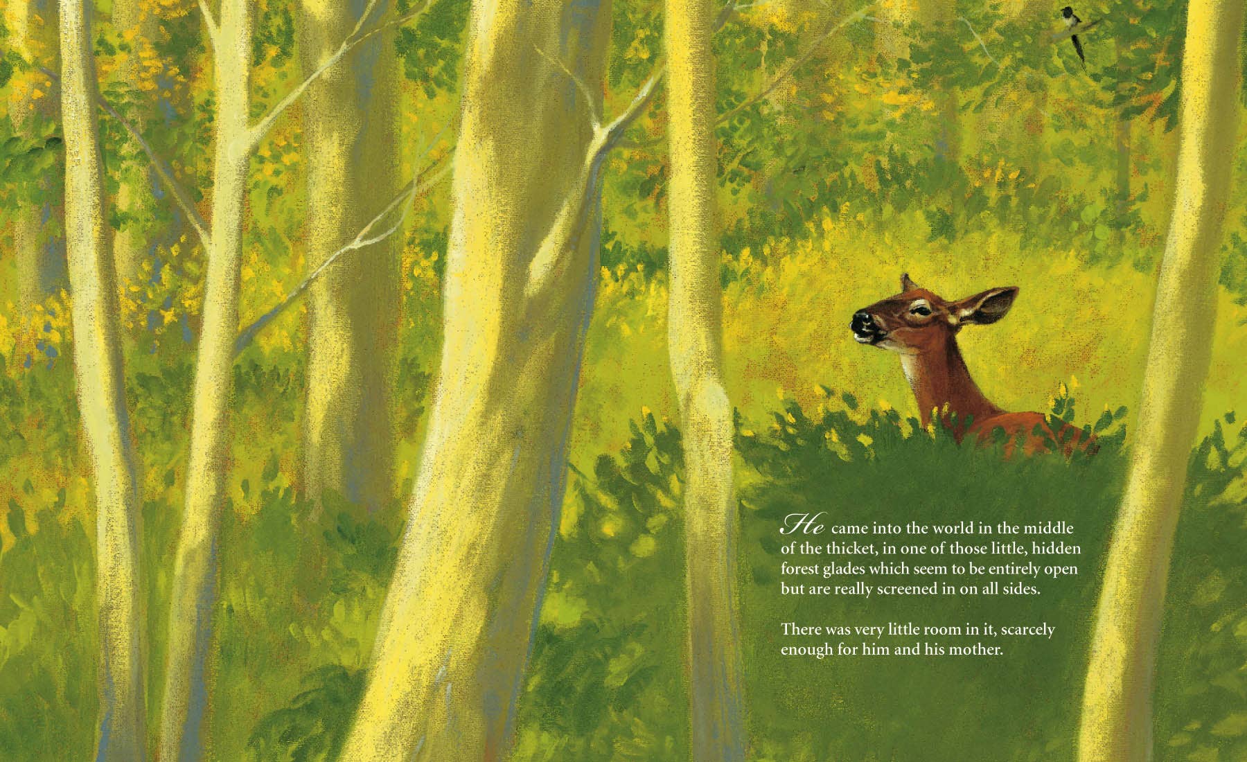 Sleeping Bear Press - Wholesale Book - Kids - Bambi's First Day Picture Book1