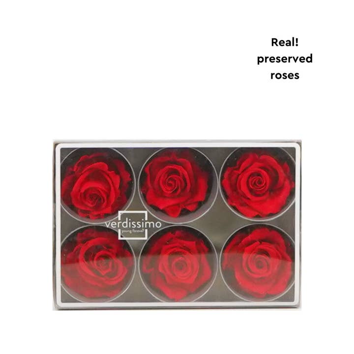 Rose Standard W-Box 6 Rouge pour la vente par Wildflowers by Floriette