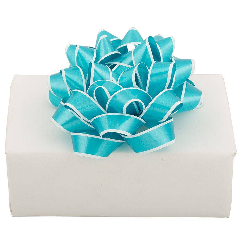 JAM PAPER - Wholesale Bow - Gift Wrapping - Gift Bows, Medium, 5 1/2 Diameter, Blue w/ White Edge, 1PK2