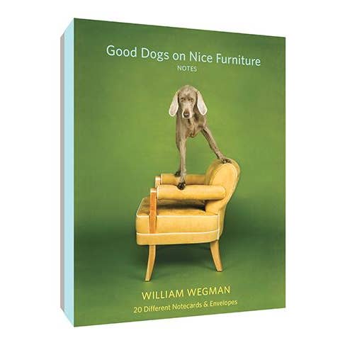 Chronicle Books - Wholesale Stationery/Notecard Set - Good Dogs on Nice Furniture Notes