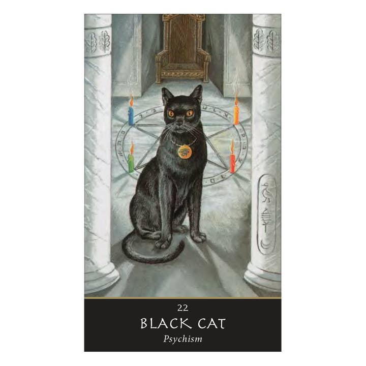 Red Wheel/Weiser LLC - Wholesale Tarot Cards - The Witches' Oracle: (Book & Cards)