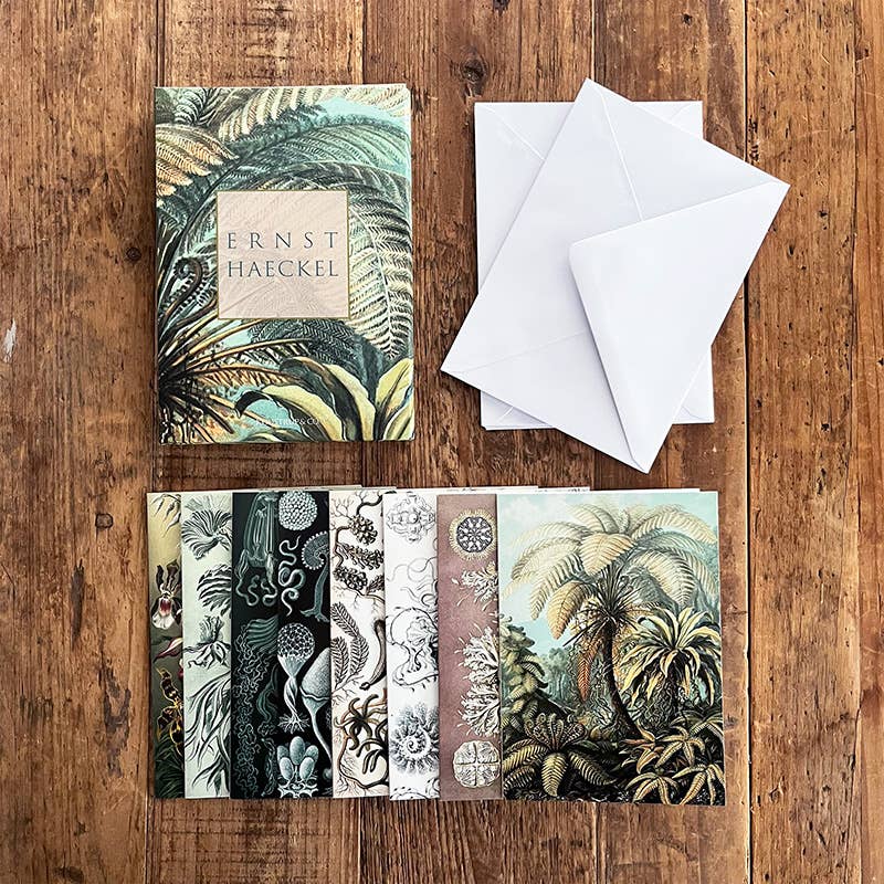 Koustrupco - Wholesale Stationery/Notecard Set - Ernst Haeckel cardfolder w/ 8 cards and envelopes1