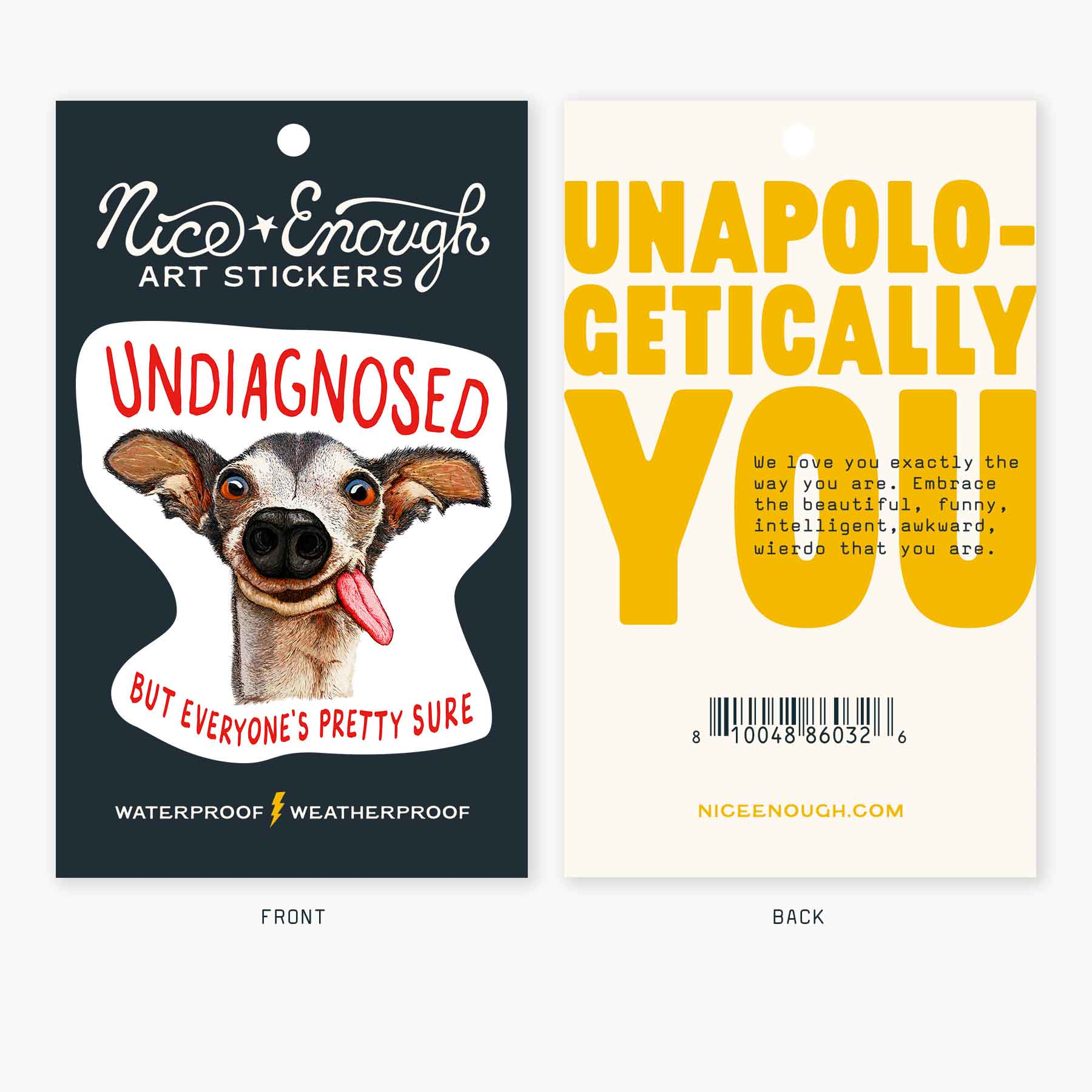 Nice Enough Stickers - Wholesale Sticker - Ongediagnosticeerd - 3" Kunststicker2