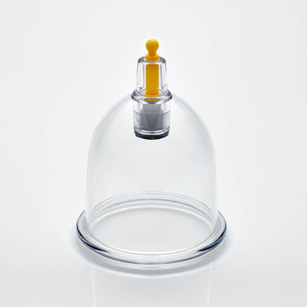 Nature’s Blends - Vente Verre/tasse - 500 ventouses de qualité supérieure - tailles mixtes de B1 à B64