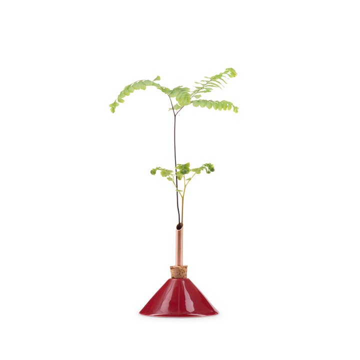 Consilium Vase for wholesale by Scandinavia Form