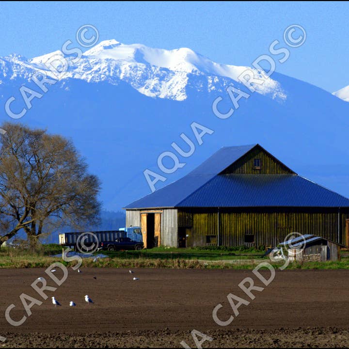 1156 - Smith Barn Under The Olympics for wholesale by Aqua Cards