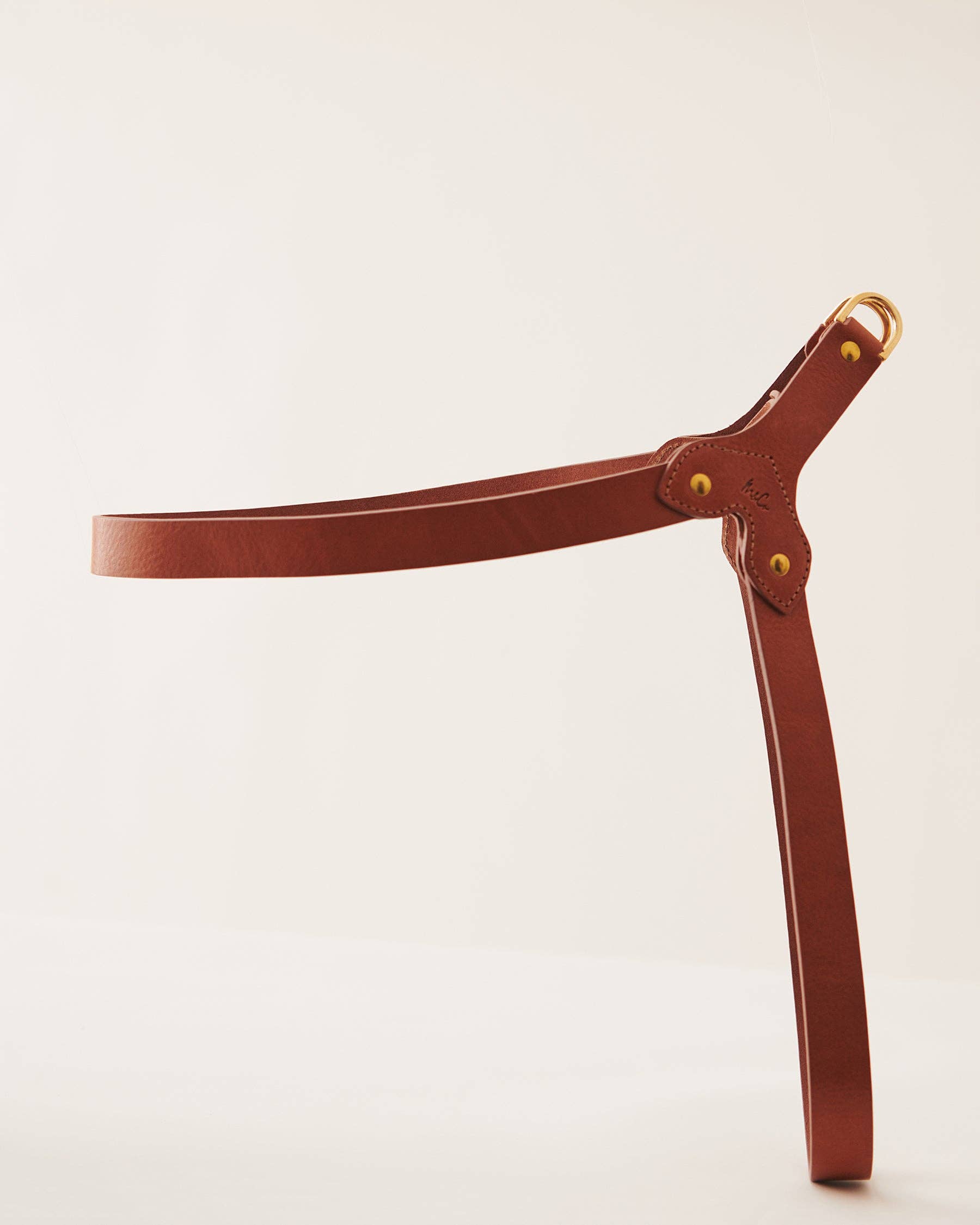 Muso & Co – Großhandel Haustiergeschirr – Hund – Klassisches Geschirr aus pflanzlich gegerbtem Leder49