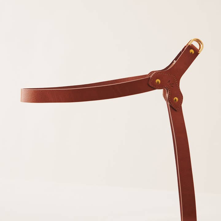 Muso & Co – Großhandel Haustiergeschirr – Hund – Klassisches Geschirr aus pflanzlich gegerbtem Leder49