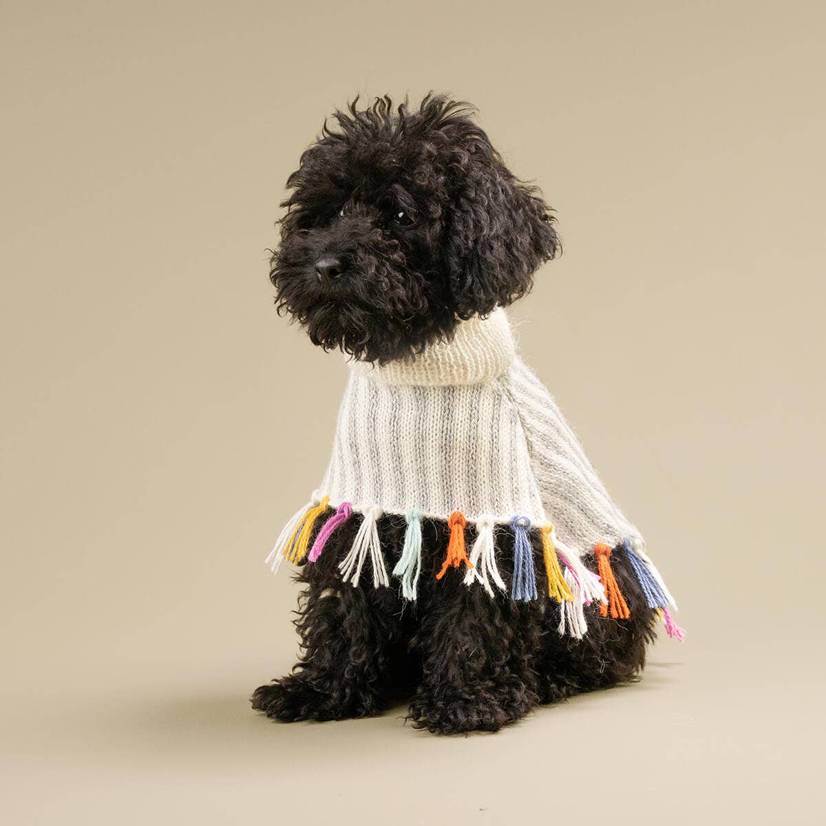 Alqo Wasi – wholesale Poncho - Hund – Regnbågsfrans Alpaca Hundponcho2