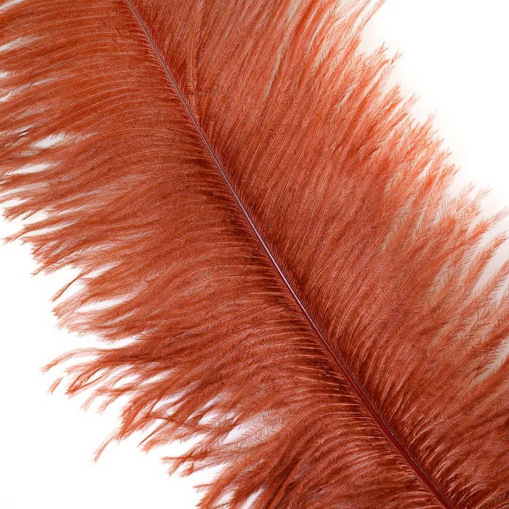 Large Ostrich Feathers - 17"+ Drabs - Copper for wholesale by Zucker Feather Products