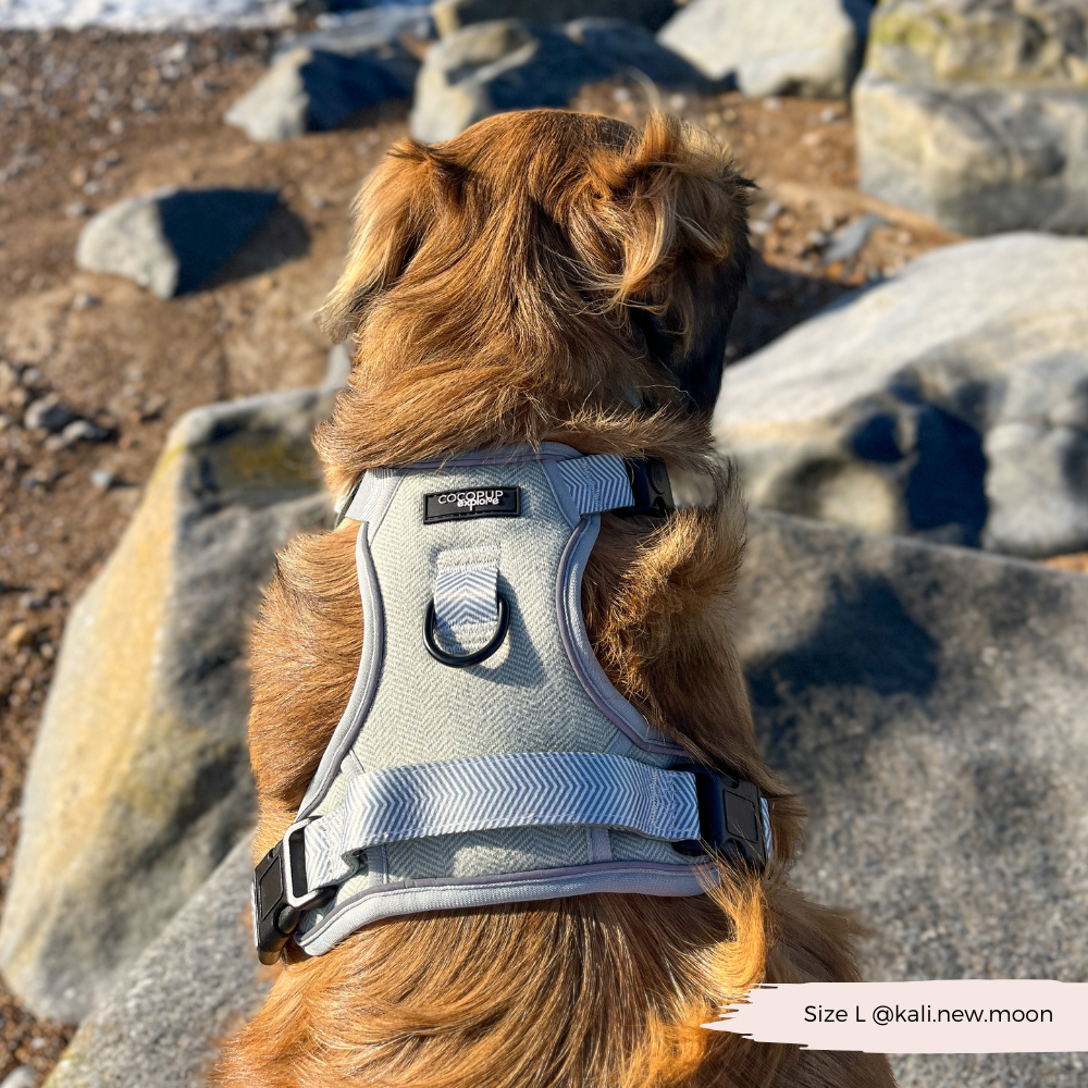 Cocopup London - Wholesale Tuig voor huisdieren - Hond - Verken Harness - Salie Tweed13