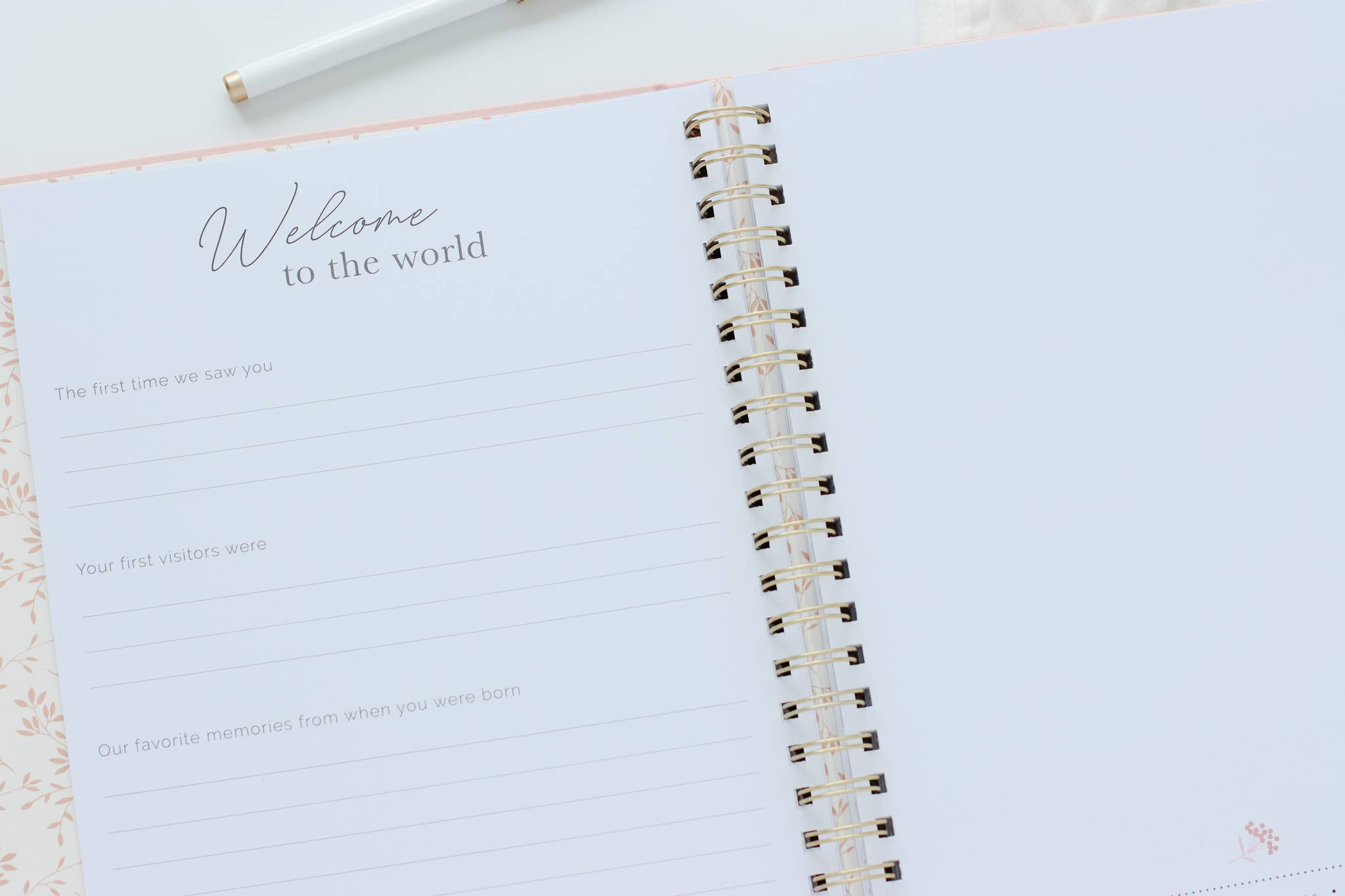 Blush Pink Baby Book - Memory book + keepsake box (Blush) for wholesale on Faire1