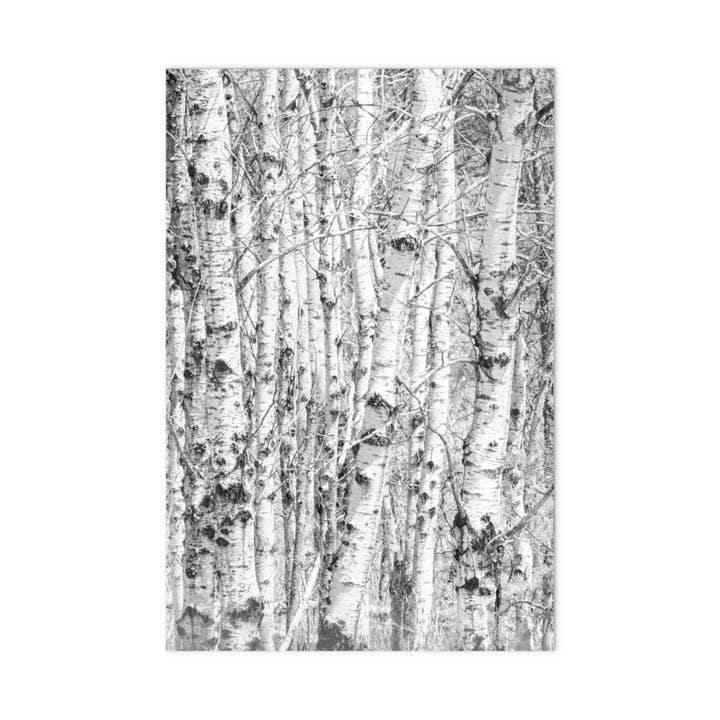 Right On Michigan - Wholesale Flat Wrap - Birch Cluster gift wrap paper1