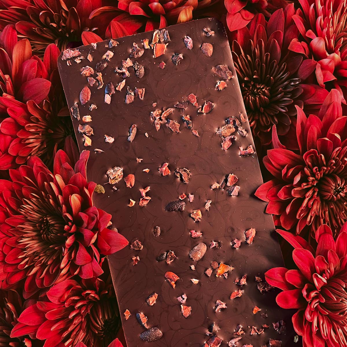 Antidote Chocolate – wholesale Chocolate bar – Antidote Chocolate TONA: RAW 100% CACAO + NIBS1