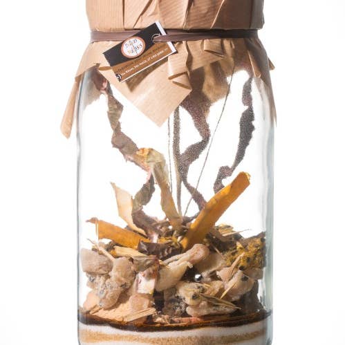 Délices Métisses - Venta al por mayor Kit para preparar bebidas - Preparativos «Pasión, Bandé de Madera» para rones arreglados 3L0