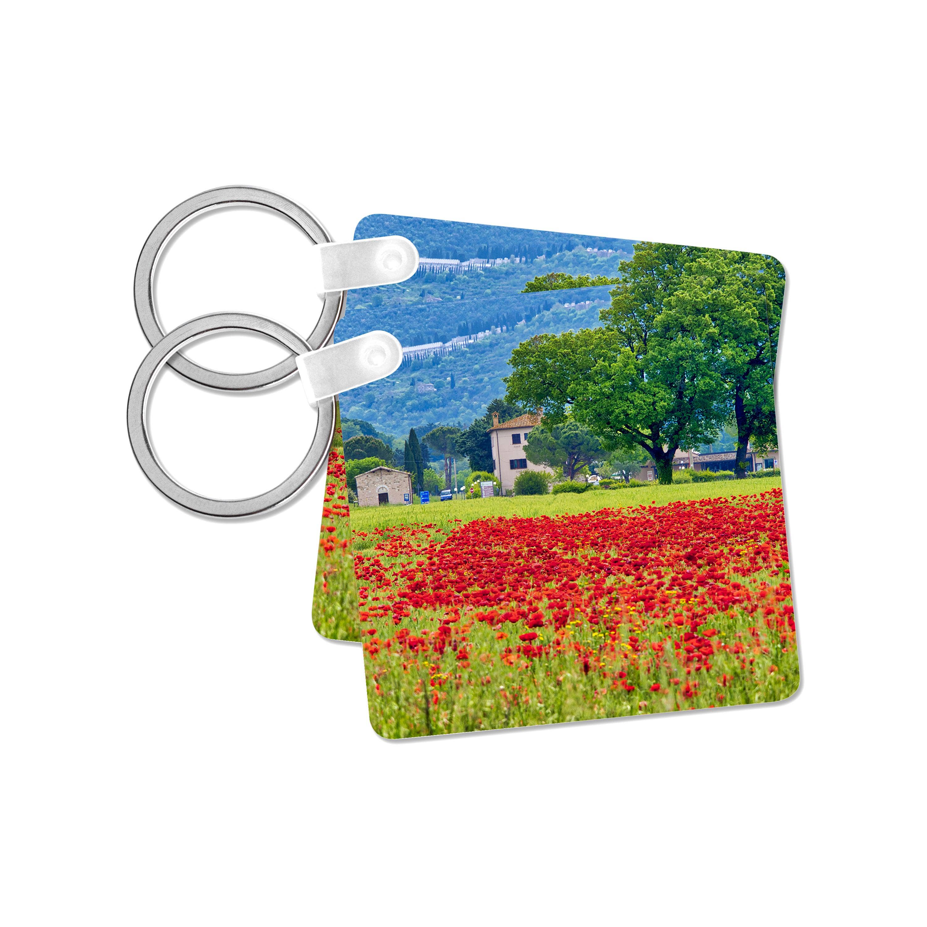 3dRose - Wholesale Keychain - Unisex - 3dRose, Italy, Umbria, Assisi. View of Assisi across the poppy covered field, Key Chain