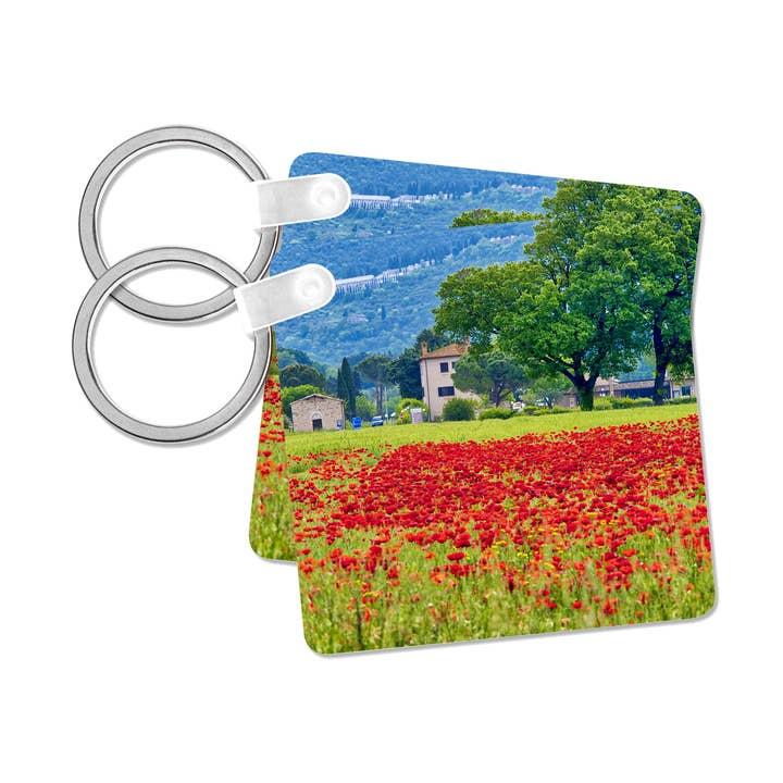 3dRose - Wholesale Keychain - Unisex - 3dRose, Italy, Umbria, Assisi. View of Assisi across the poppy covered field, Key Chain0
