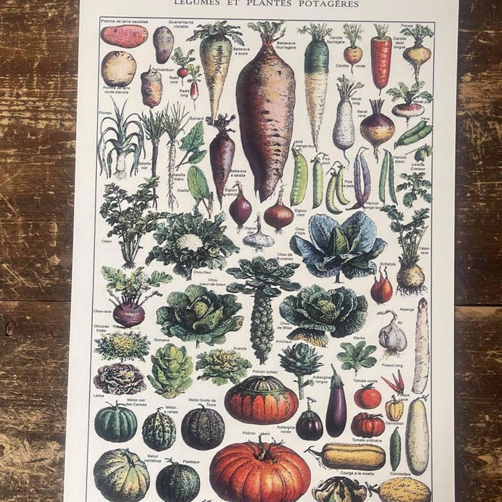 Vintage Botanical Kitchen Vegetables - Metal Art Wall Sign for wholesale by The British Metal Signs Company