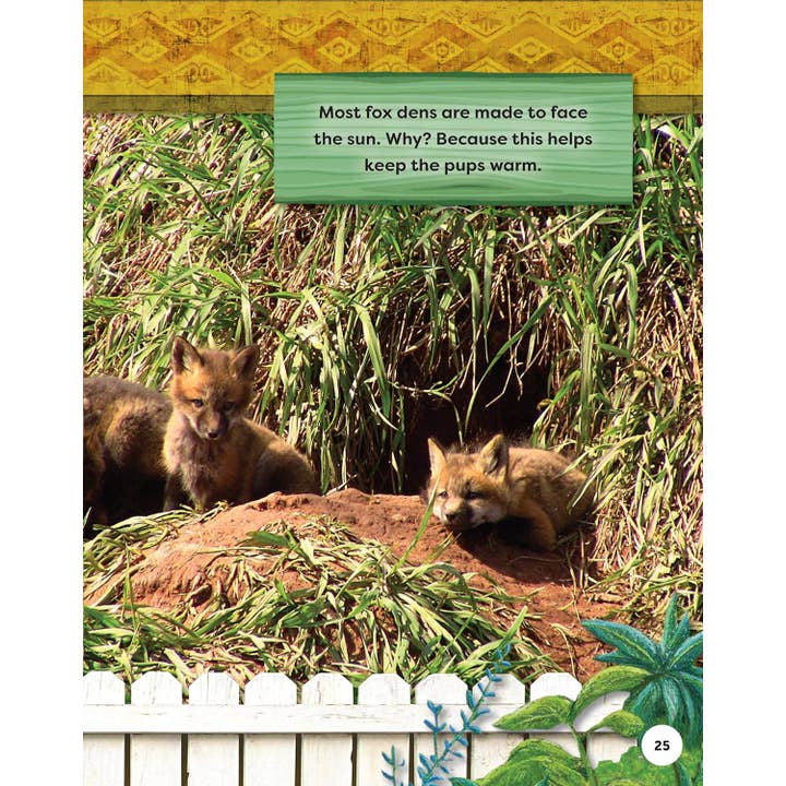 Fox Chapel Publishing – Großhandel Nature & Outdoors – Safari im Hinterhof für Kinder: ROTFÜCHSE (SC) - Erkunde ihre Welt3