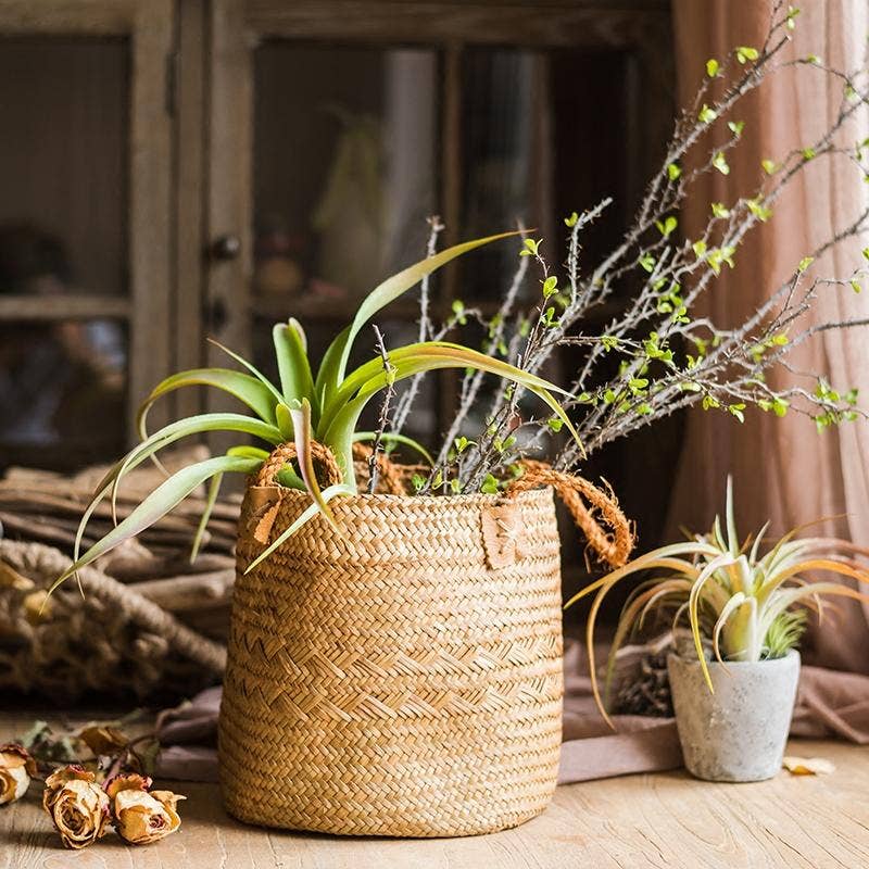 Rustic Reach - Vente Paniers - Panier en paille naturelle avec poignées en corde (lot de 2)3